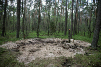 СМИ: В Польше обнаружили боеголовку ракеты, обломки которой нашли в апреле