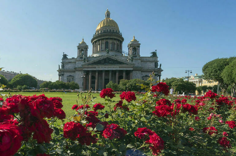 Петербург встретит 320-летие с черным орлом на желтом фоне