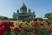 Петербург встретит 320-летие с черным орлом на желтом фоне