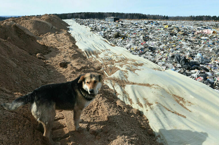 Свалка со стройотходами в Астрахани принесла ущерб почве на 27 млн рублей