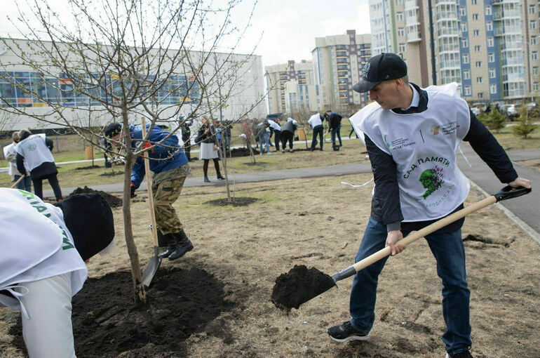 Десять тысяч деревьев от жителей Красноярского края