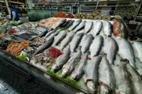 Куда с прилавков «смыло» дешевую рыбу
