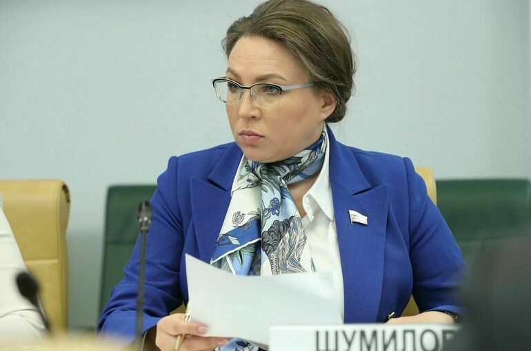 Шумилова предложила кабмину изменить методику расчета поставок дров людям
