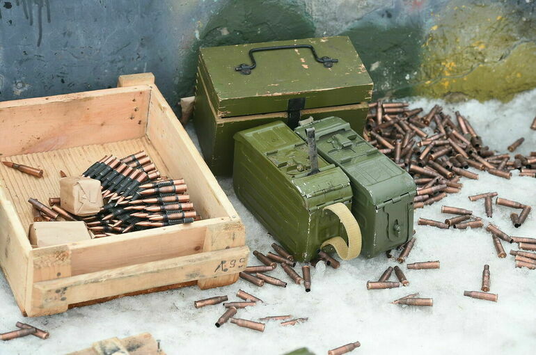 Принимать и хранить изъятое оружие будет МВД