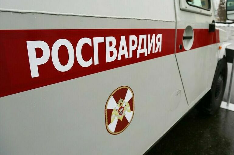 Росгвардии могут разрешить заключать краткосрочные контракты с бойцами 