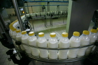 ФАС проверит цены на молочку в торговых сетях