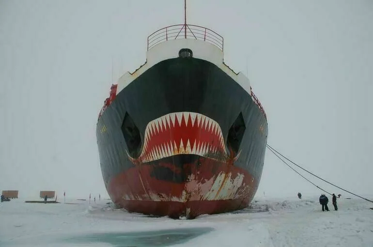 Совет участников судоходства по Северному морскому пути провел заседание в рамках ПМЭФ-2023