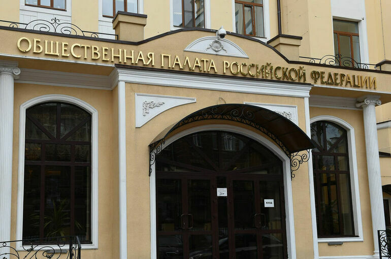 Стал известен новый состав Общественной палаты