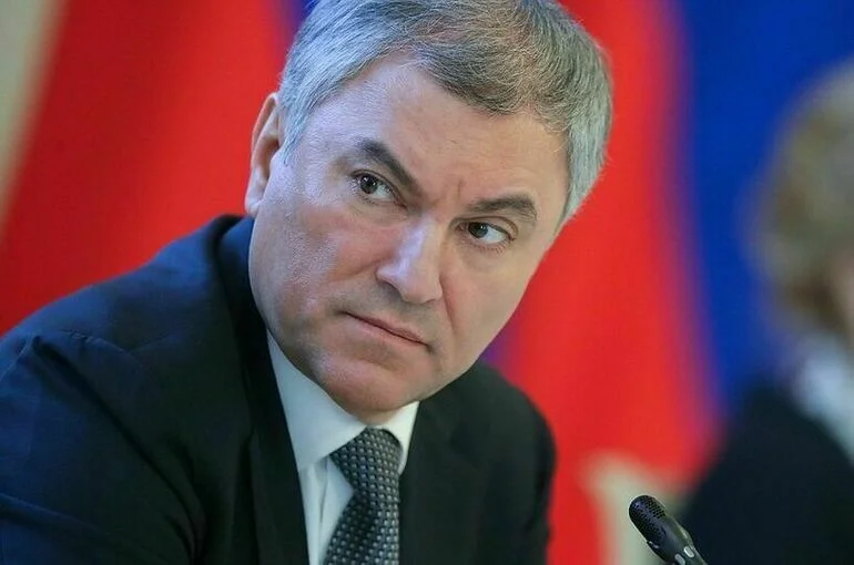 Вячеслав Володин.

