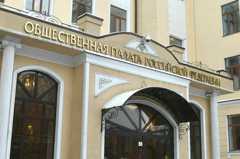 Гриб, Галушка и Школьник стали заместителями секретаря Общественной палаты