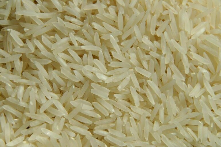 В России предложили запретить экспорт риса до конца 2023 года
