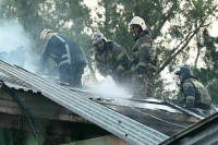 В Ростове-на-Дону ликвидировали пожар в зоопарке