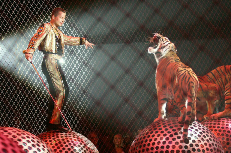 Перечень творческих профессий расширили