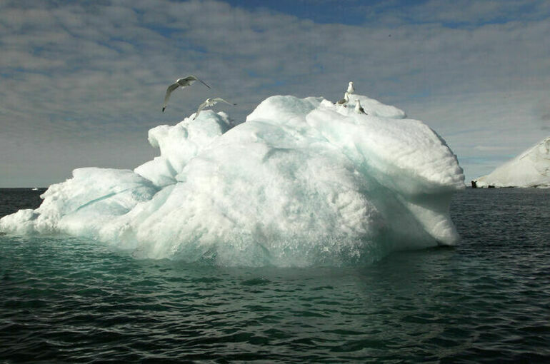 Арктике помогут торф и атом
