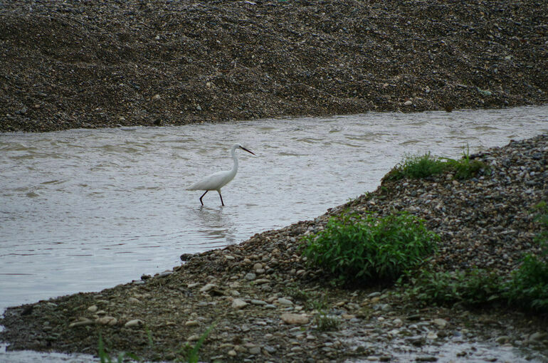 В Абхазии туристку из Москвы унесло течением