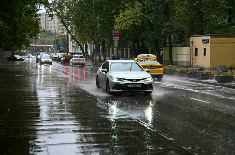В Москве за четверг выпало около 30% от месячной нормы осадков