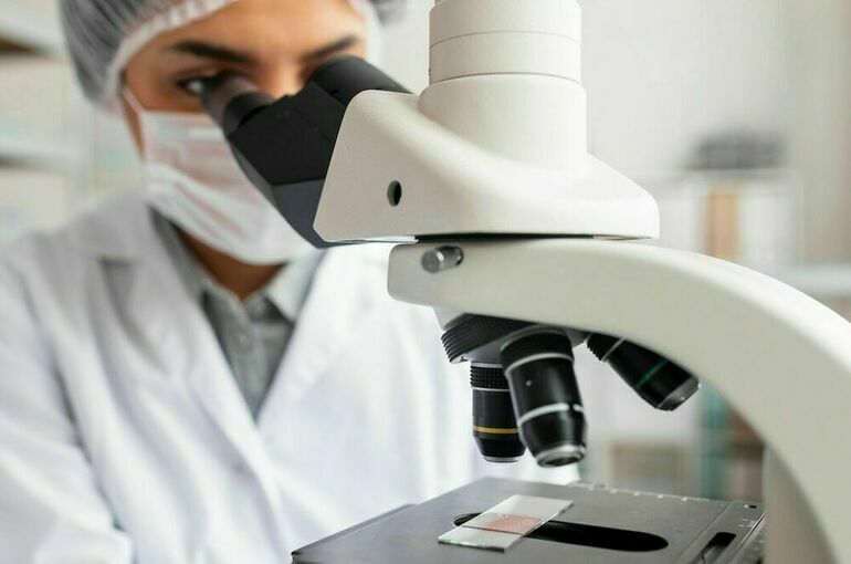 Причиной отравления детей в лагере «Волна» на Урале стал норовирус