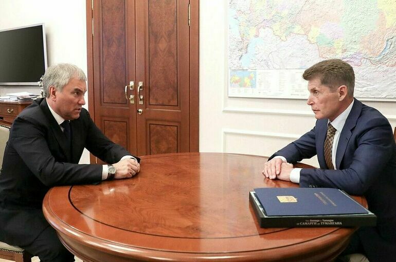 Володин обсудил с Кожемяко вопросы предупреждения стихийных бедствий