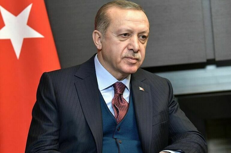Почему Эрдоган заинтересован в сотрудничестве с арабским миром 