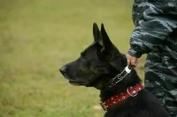 В Ростовской области шестилетняя девочка ушла с незнакомцем и пропала
