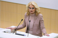 Голикова предложила запустить систему электронных виз для въезда в РФ