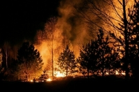 В Хабаровском крае площадь лесных пожаров увеличилась на 33 тысячи гектаров