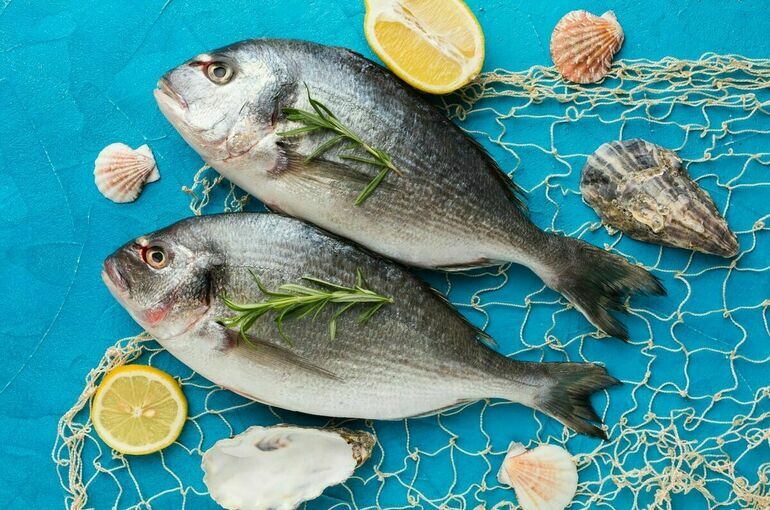 Недружественным странам запретят ввозить готовую продукцию из рыбы в РФ