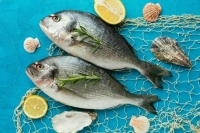 Недружественным странам запретят ввозить готовую продукцию из рыбы в РФ
