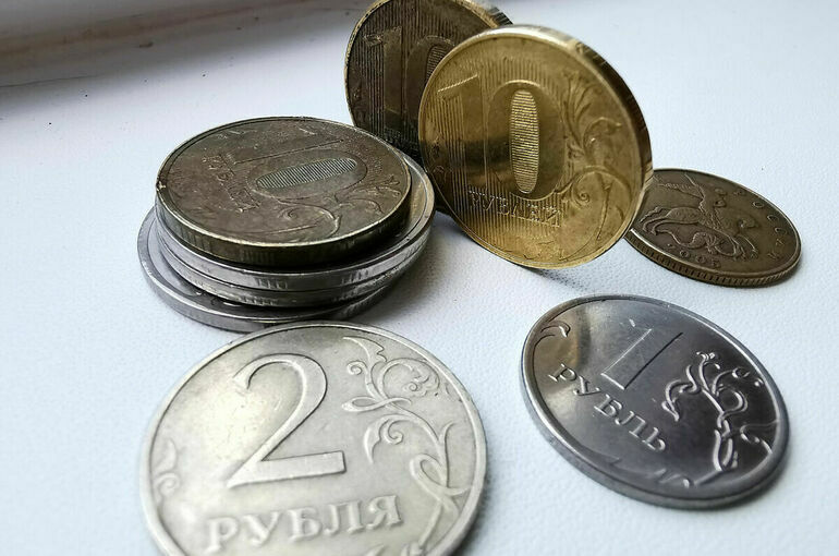 Комитет Совфеда поддержал закон о партнерском финансировании