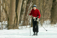 Совет Федерации снял ограничения для размещения лыжных трасс в лесах