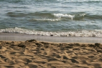 На пляже на черноморском курорте Шиле около Стамбула нашли 28 мин