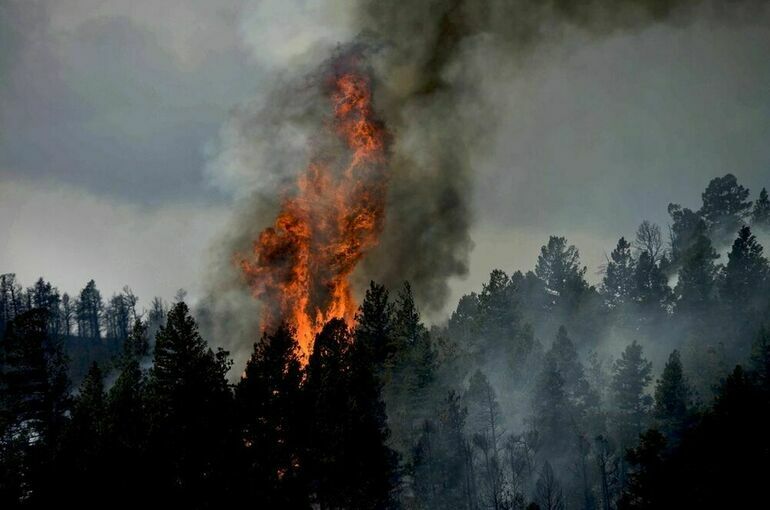В Хабаровском крае горит более 200 тысяч гектаров леса