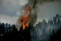 В Хабаровском крае горит более 200 тысяч гектаров леса