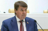 Цеков допустил смену власти на Украине неконституционным путем