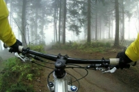 В лесах разрешили строить велодорожки и лыжные трассы