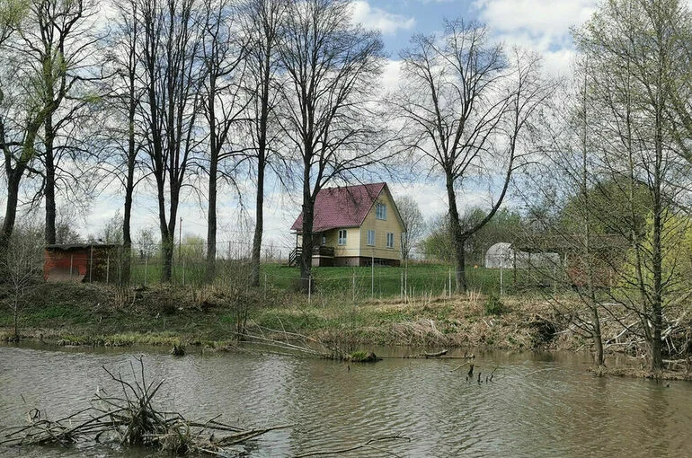 Чаплин объяснил, можно ли сливать воду с дачных участков на улицу