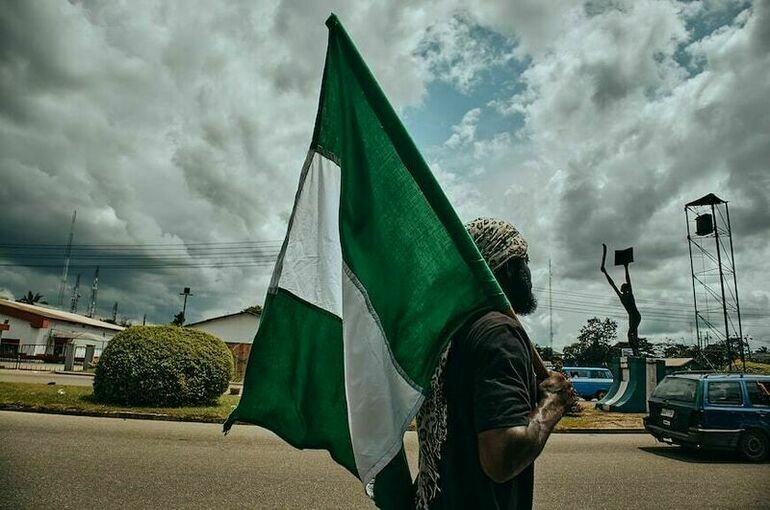 В Нигерии сенат выступил против вторжения в Нигер