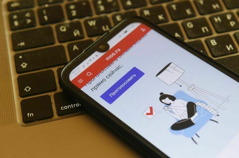 В ЦИК рассказали, как будут проводить дистанционное электронное голосование