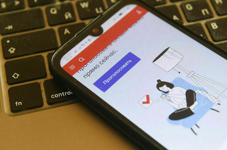 Как наблюдать за электронным голосованием