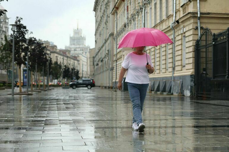 Жителей Москвы предупредили о грозах с порывистым ветром