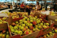 Поставки яблок и персиков в РФ из Новой Зеландии запретили