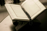 СМИ: Дания запретит сжигать Коран