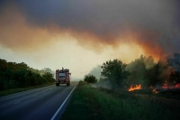 В Геленджике начался природный пожар, власти просят помощи добровольцев