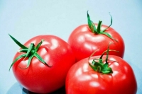 Sputnik: Россия стала ключевым импортером томатов из Азербайджана в 2023 году