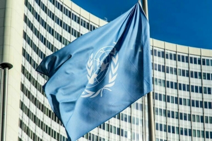 Россия наложила вето в Совбезе ООН на резолюцию о санкциях по Мали