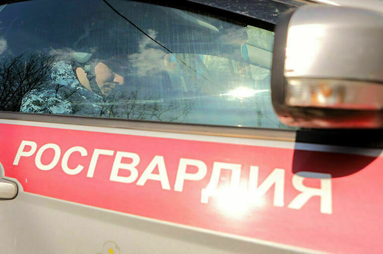 В Росгвардии раскрыли подробности захвата диверсантов в Брянской области