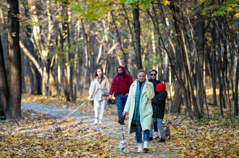 В Москве и области резко похолодает со среды