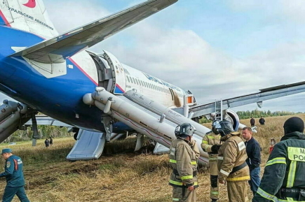 Что известно об аварийной посадке A320 в Новосибирской области