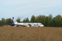 В Новосибирской области в связи с ЧП с самолетом создан оперштаб