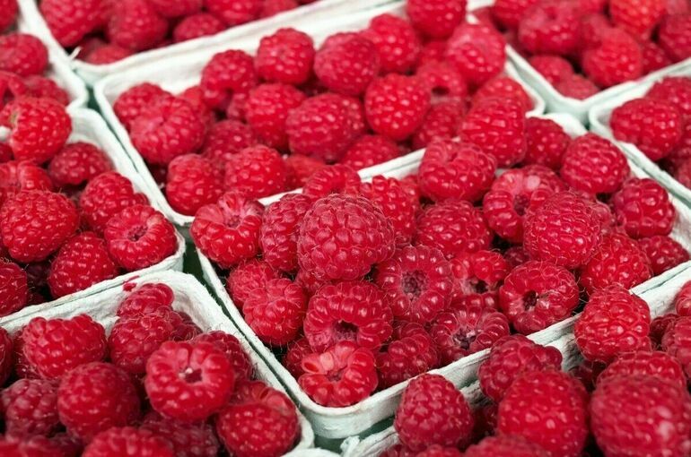 Польские производители малины пожаловались на убытки из-за украинских ягод